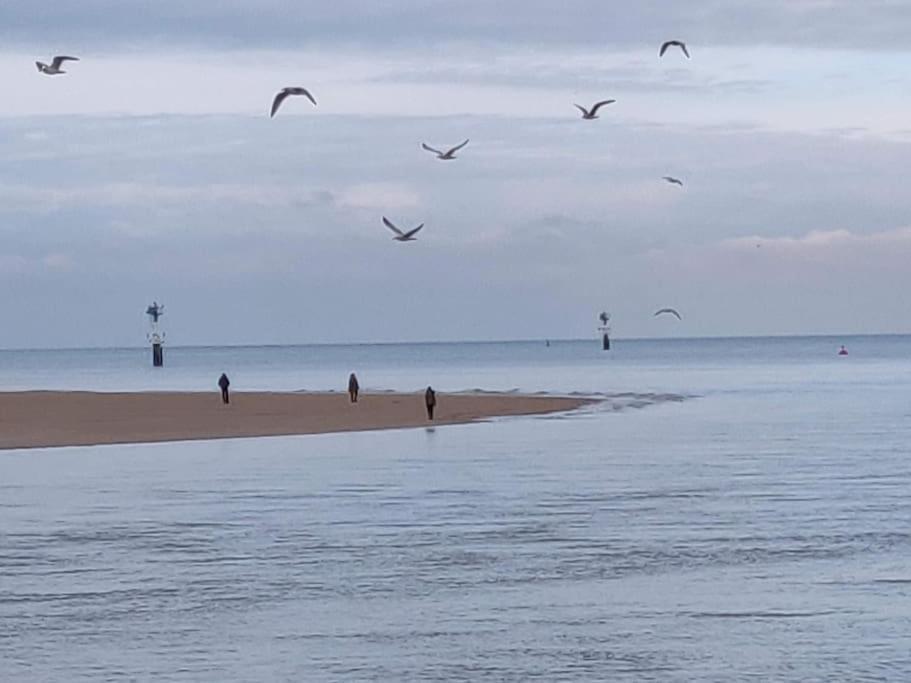 La Baleine - Hyper Centre, Charme Et Calme A Deux Pas De La Mer Cabourg Εξωτερικό φωτογραφία